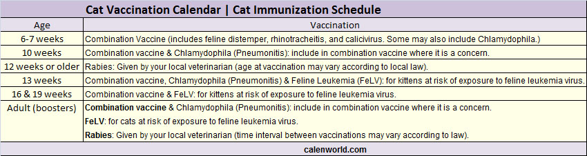 Cat Immunization Calendar