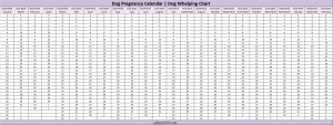 Dog Pregnancy Calendar Calendars