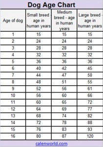 Dog Age Chart - Calendars