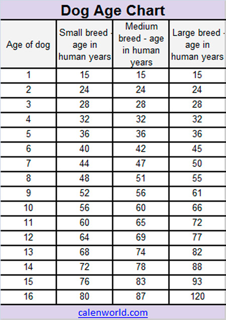 Age By Year Chart
